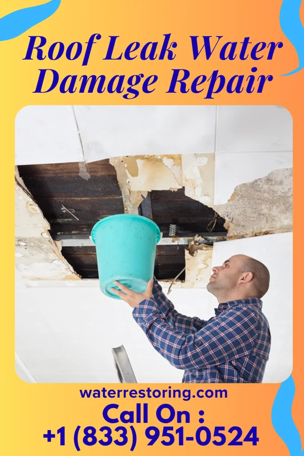 Roof Leak Water Damage Repair in Arnegard, ND